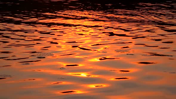 River at Sunset . Slow Motion