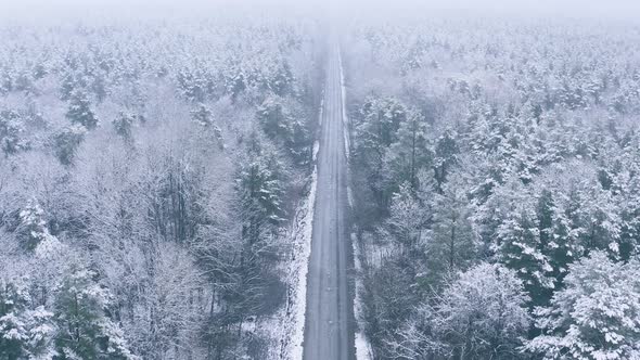 Road Through Beautiful Snowy White Forest In Winter Frosty Day