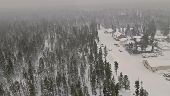 Aerial Top View Winter Panoramic Landscape with Snowy Forest in Heavy Snowfall