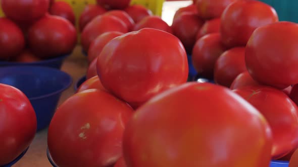 Slow pan along tomatoes on sale at farmers market, close-up pan