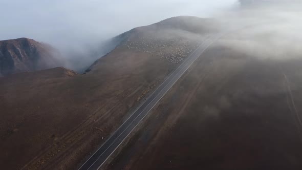 Highway And Sheep In The Foggy Mountain Aerial