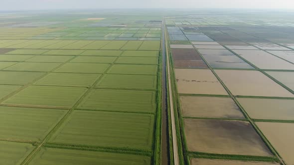 The Rice Fields Are Flooded with Water