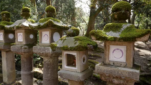 Stone Lanterns in Kasugataisha Shrine Nara Japan