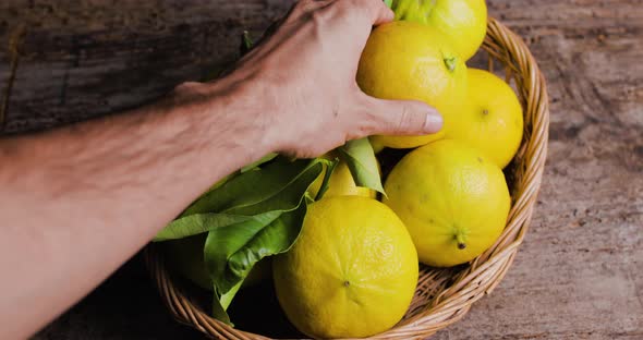 Hand takes a yellow bergamot from the basket