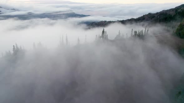 Mountains and Trees in Dense Fog and Clouds