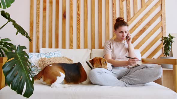 Young Woman Sitting on the Couch and Petting Her Dog Beagle While Talking By Phone