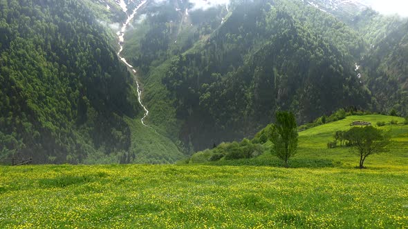 Gorgeous Snowy Mountain Peaks in Meadow With Yellow Flowers