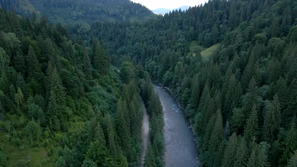 Aerial View of Carpathian River in Forest