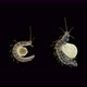 Female Worm Polychaeta with Eggs Under a Microscope, Family Syllidae, Possibly Autolytus Sp. - VideoHive Item for Sale