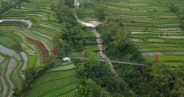 Pull back Drone shot of metal suspension bridge build over river with waterfall, surrounded by trees