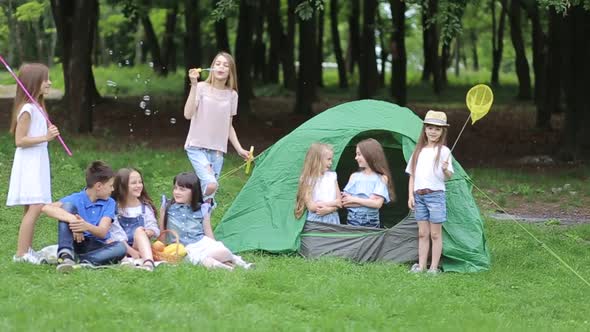 Family picnic in nature. Children with their mother fry marshmallows on skewers