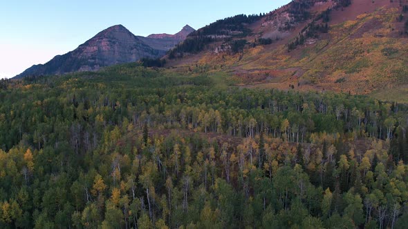 Aerial view of Fall color over forest