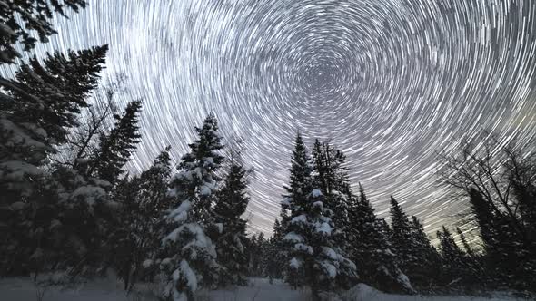 Milky Way Over Coniferous Trees at Winter Night. Taganay, Southern Urals, Russia