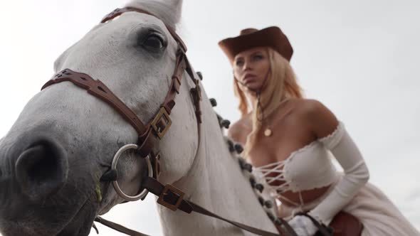 Sexy Horse Rider Woman on White Graceful Equine Portrait of Confident Lady with Cowboy Hat