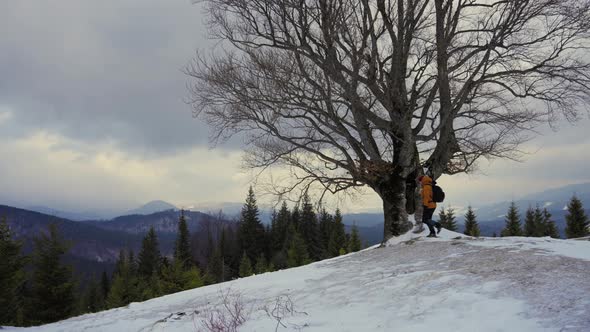 Man Tourist Walks Past a Lone Tree in Winter