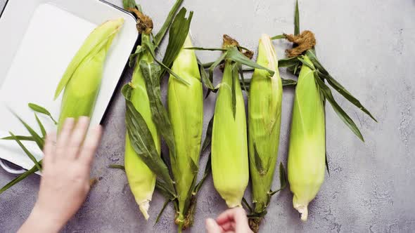 Step by step. Shucking organic corn to make Mexican corn on the cob Elote.