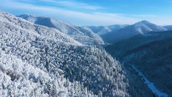 Aerial View of a Fabulous Snowcovered Forest on the Slopes of the Mountains