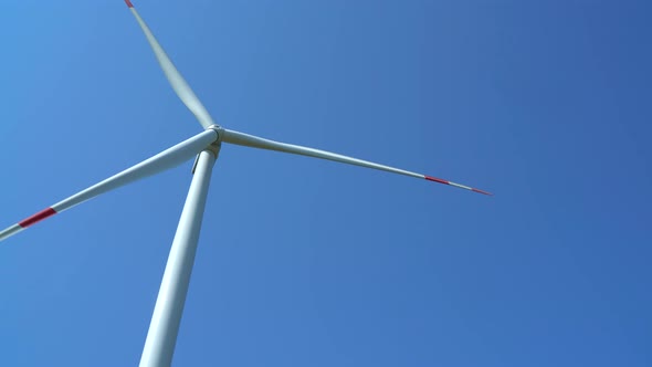 Wind turbine generating electricity on blue sky, sustainable development, renewable energy
