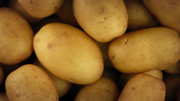 New Potatoes Rotating