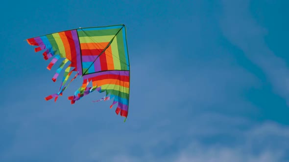 Multicolored Rainbow Lgbt Kite Air Flies on the Background