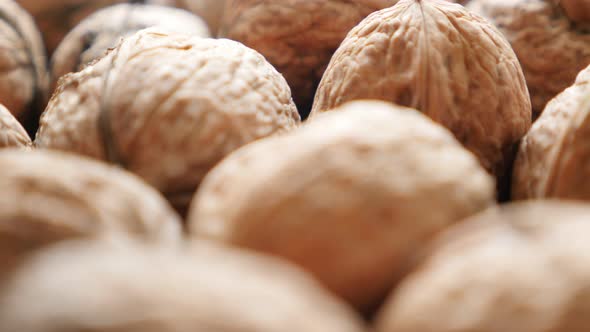 Hard shell walnut fruit arranged  natural organic food 4K 2160p 30fps UltraHD footage - Juglans regi