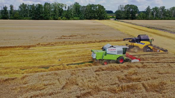 Harvester machines working in field. Aerial view of combines harvesting ripe wheat on farm