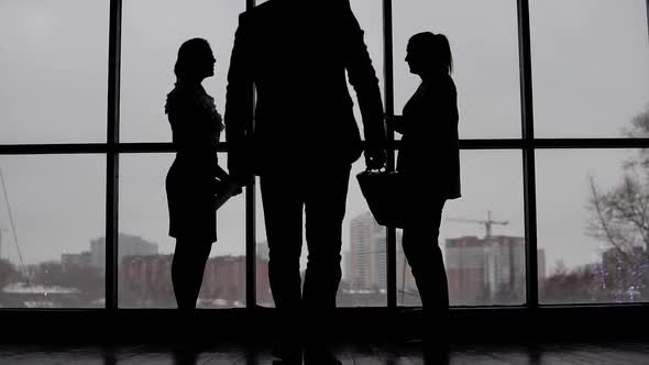 Businessman Comes To Two Business Women Standing Near the Window and Discuss the Project