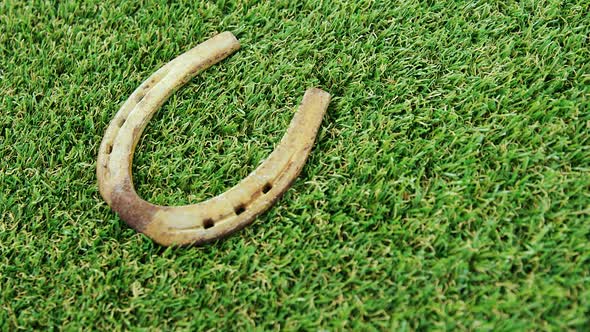 horse shoe on grass for st patricks day