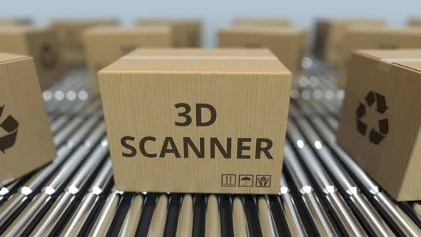 Cartons with 3D Scanners on Roller Conveyors