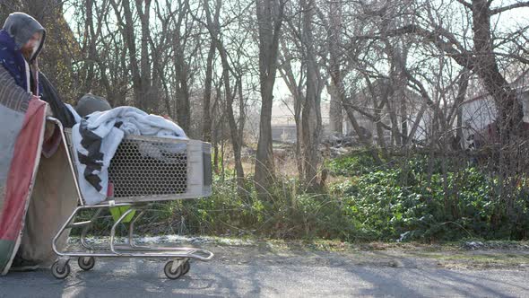 Homeless man pushing cart down the road as dog follows him