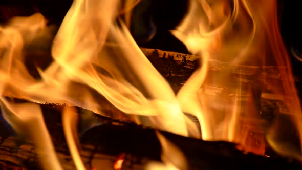 Logs Burning in a Bonfire. Yellow Flames at Night. Slow Motion Close-up Shot