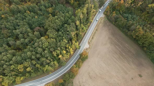 Car Moving on Road Through Forest