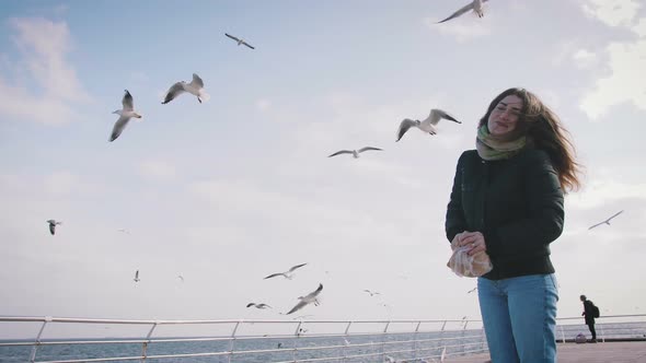 Young Woman Feeding Seagulls at Winter Near the Sea Slow Motion