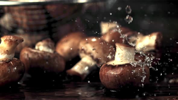 Super Slow Motion on the Mushrooms Drops Water