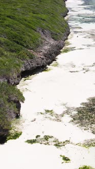 Vertical Video of Low Tide in the Ocean Near the Coast of Zanzibar Tanzania