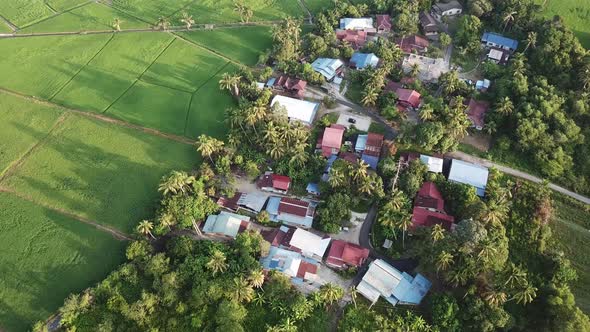 Aerial beautiful shadow of tree over Malays village