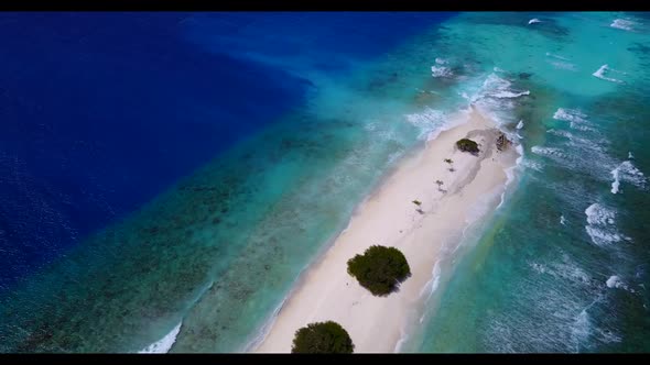 Aerial top down landscape of exotic shore beach wildlife by blue lagoon with white sandy background 