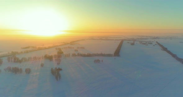 Aerial Drone View of Cold Winter Landscape with Arctic Field, Trees Covered with Frost Snow and