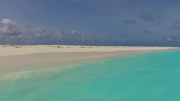 Empty landscape of coastline beach wildlife by ocean and sand background near waves