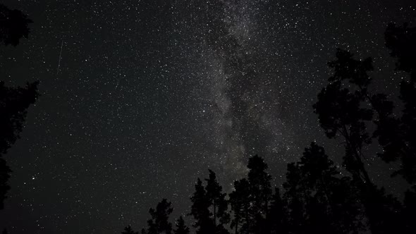 Timelapse of The Milky Way Galaxy Moves Above the Silhouettes of Trees