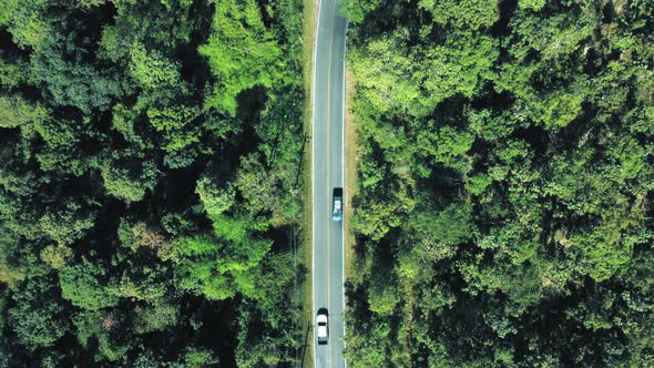 Establishing aerial top view shot of country side road passing through the green forest