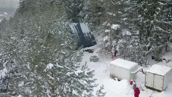 Small house built among snow covered spruce trees