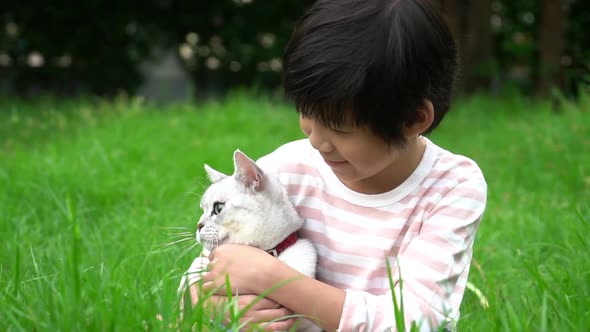 Cute Asian Child Playing With Scottish Cat In The Park