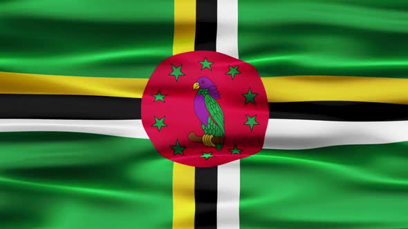 Dominica Flag Waving