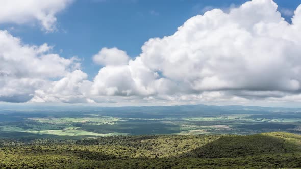 Panorama of Green Nature in New Zealand with White Clouds