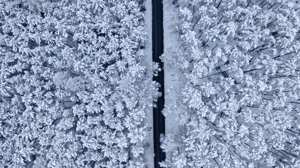 Asphalt road in snowy forest. Aerial view of nature, Poland.