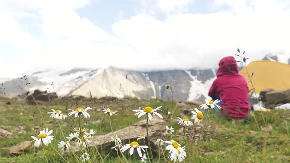 Lady Sits on Rocky Ground Against Mountains and Chamomile