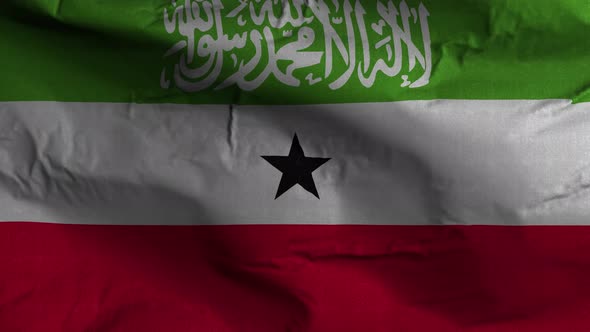 Somaliland Flag Textured Waving Background 4K