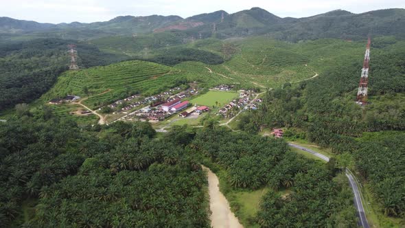 Aerial view oil palm plantation near hill side at Kulim, Kedah