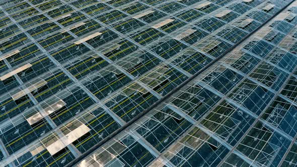 Aerial Top View of Venlo or Dutch Greenhouse Plant